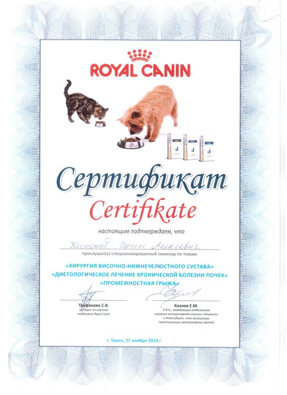 Документ или сертификат
