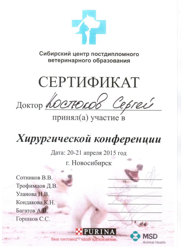 Документ или сертификат