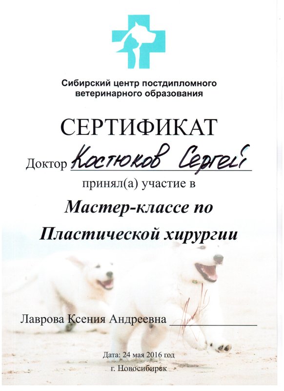 Документ или сертификат