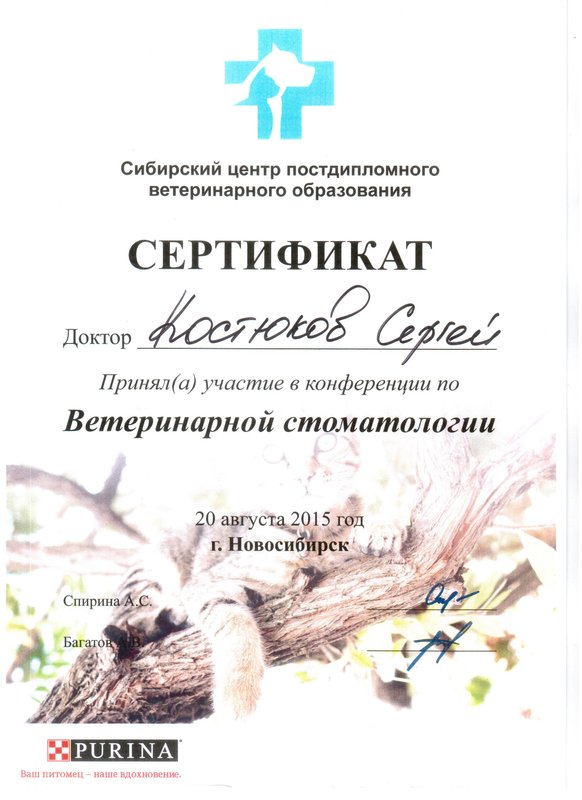 Документ или сертификат