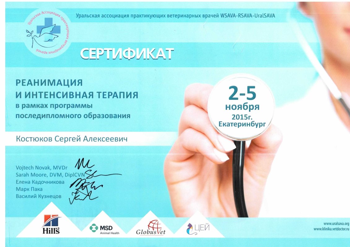 Документ или сертификат