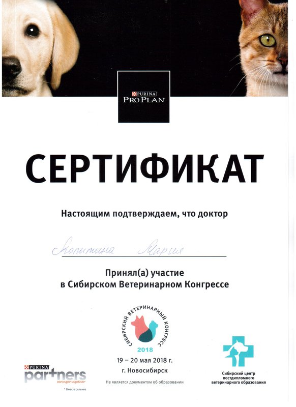 Документ или сертификат