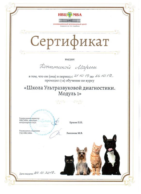 Документ или сертификат