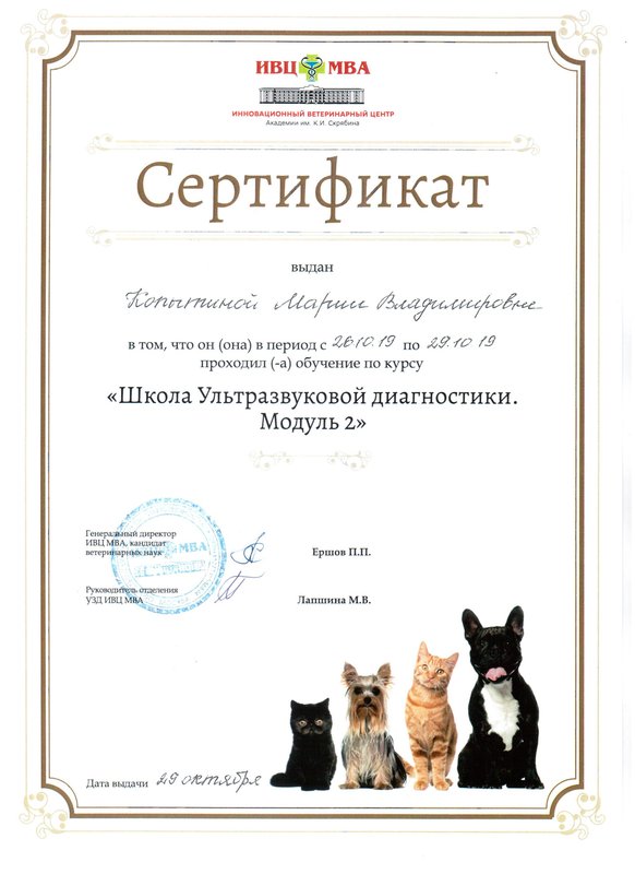 Документ или сертификат