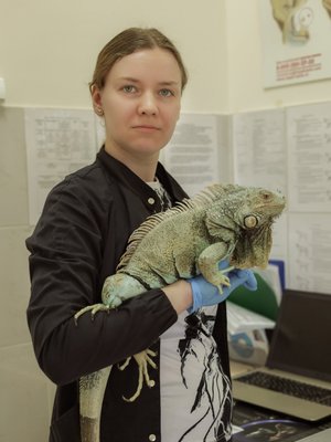 Фото врача Соппа Ольга Сергеевна