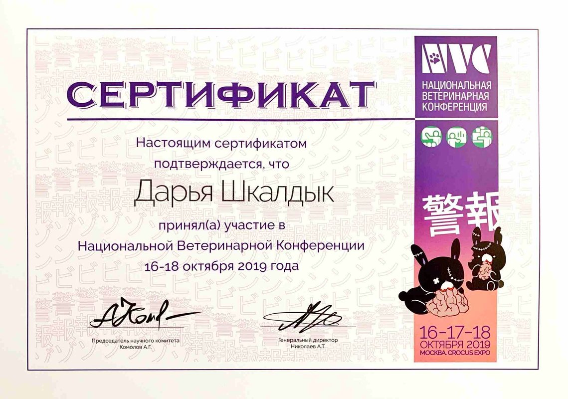 Документ или сертификат