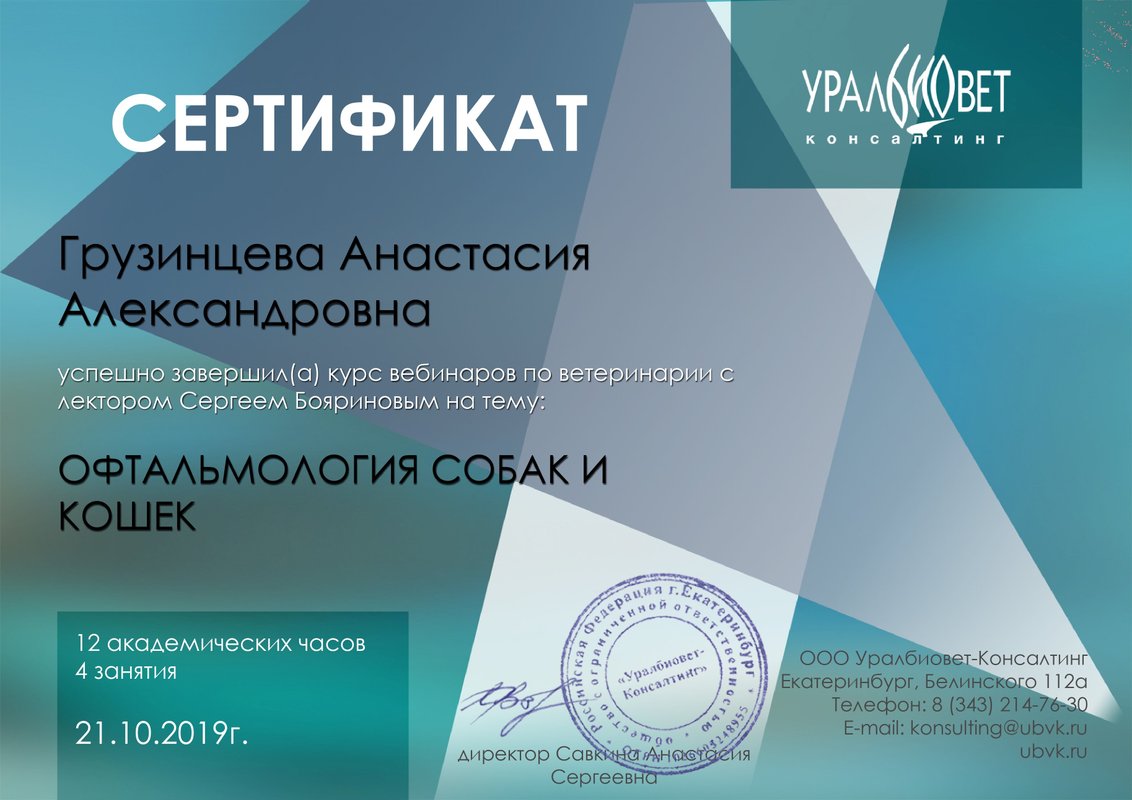 Документ или сертификат