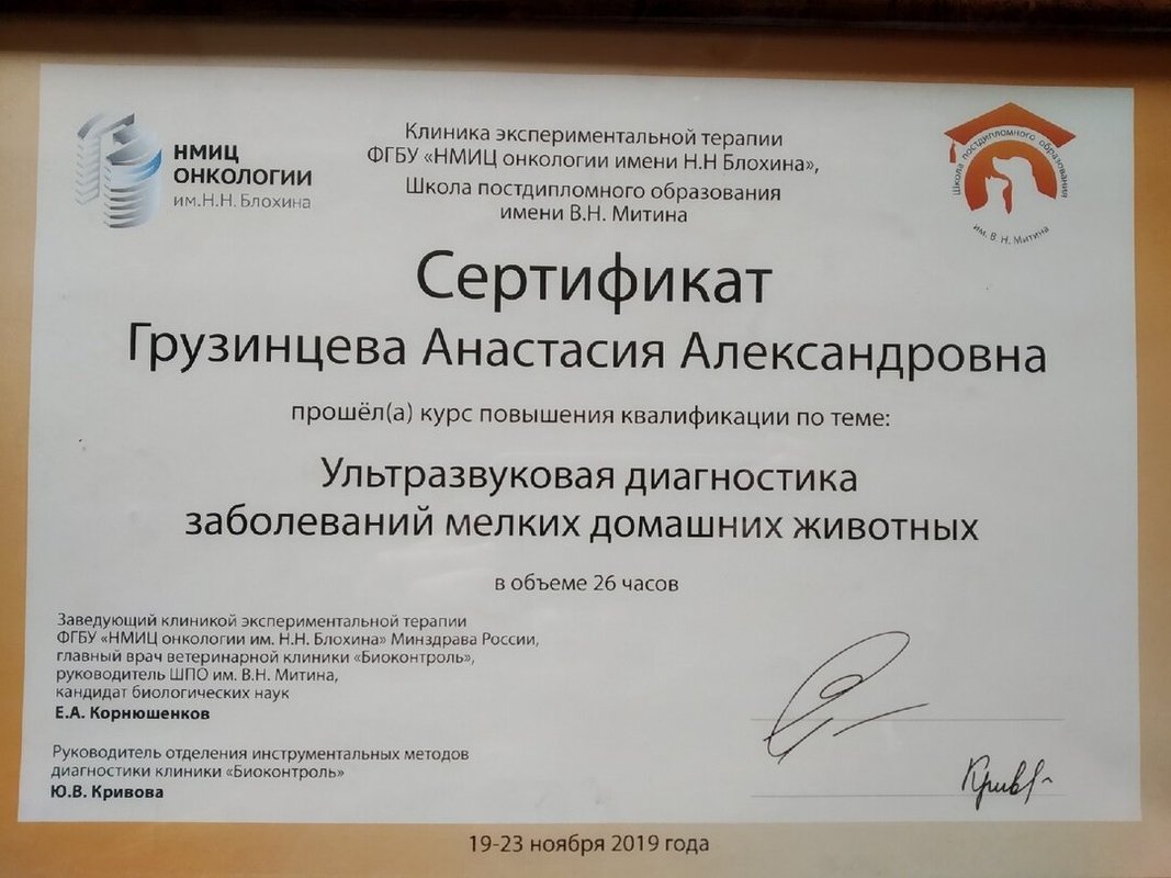Документ или сертификат