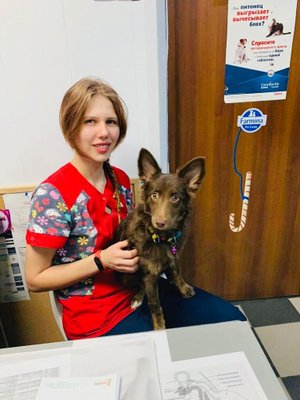 Фото врача Шаталова Анжелика Николаевна