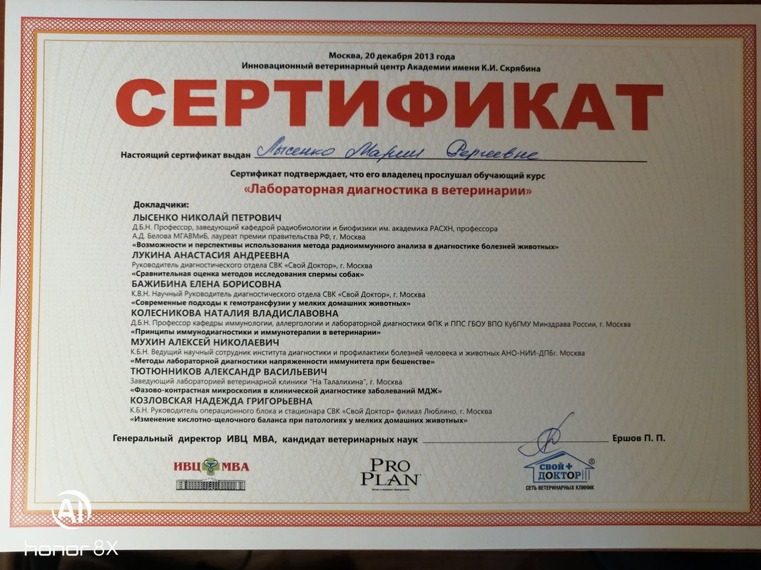 Документ или сертификат