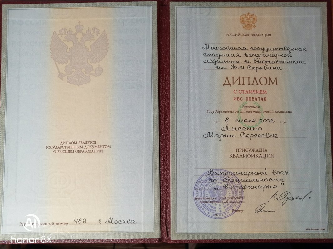 Документ или сертификат