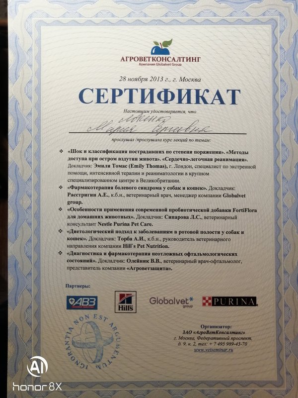 Документ или сертификат