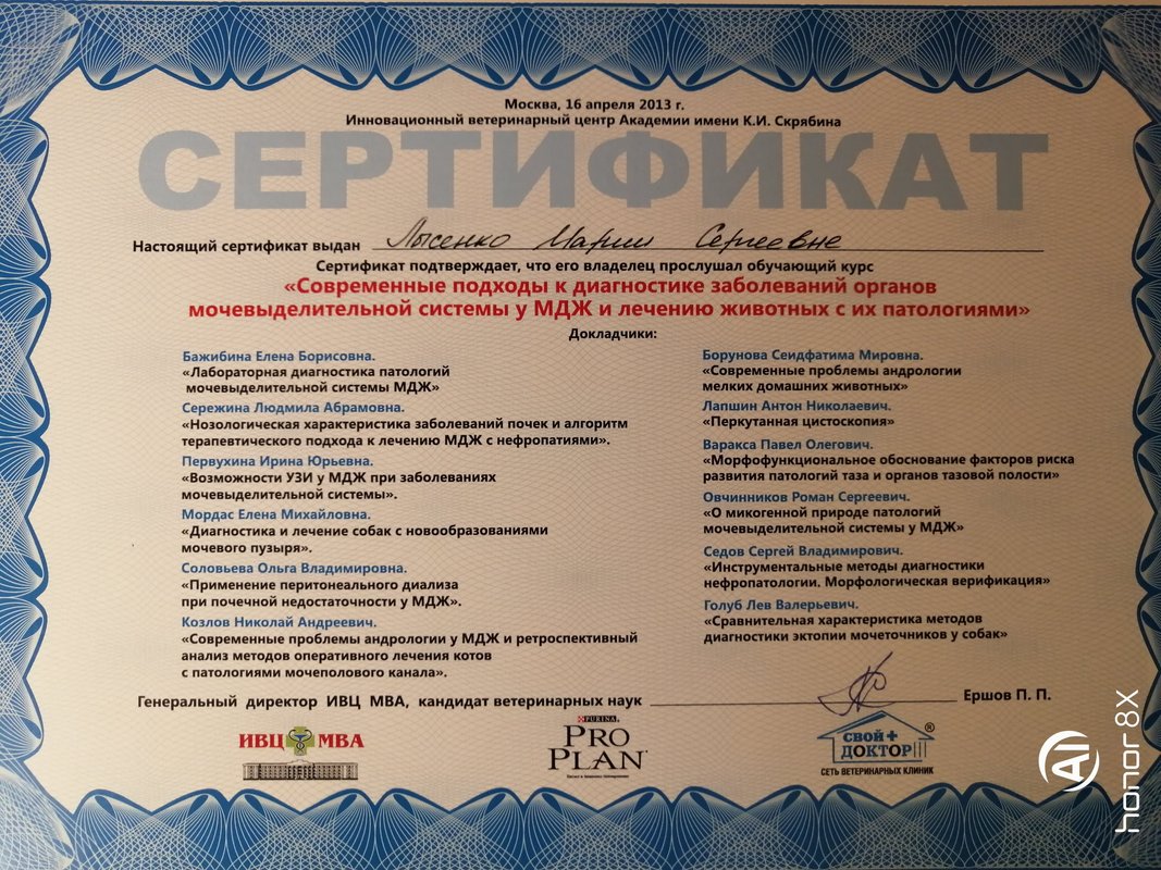 Документ или сертификат