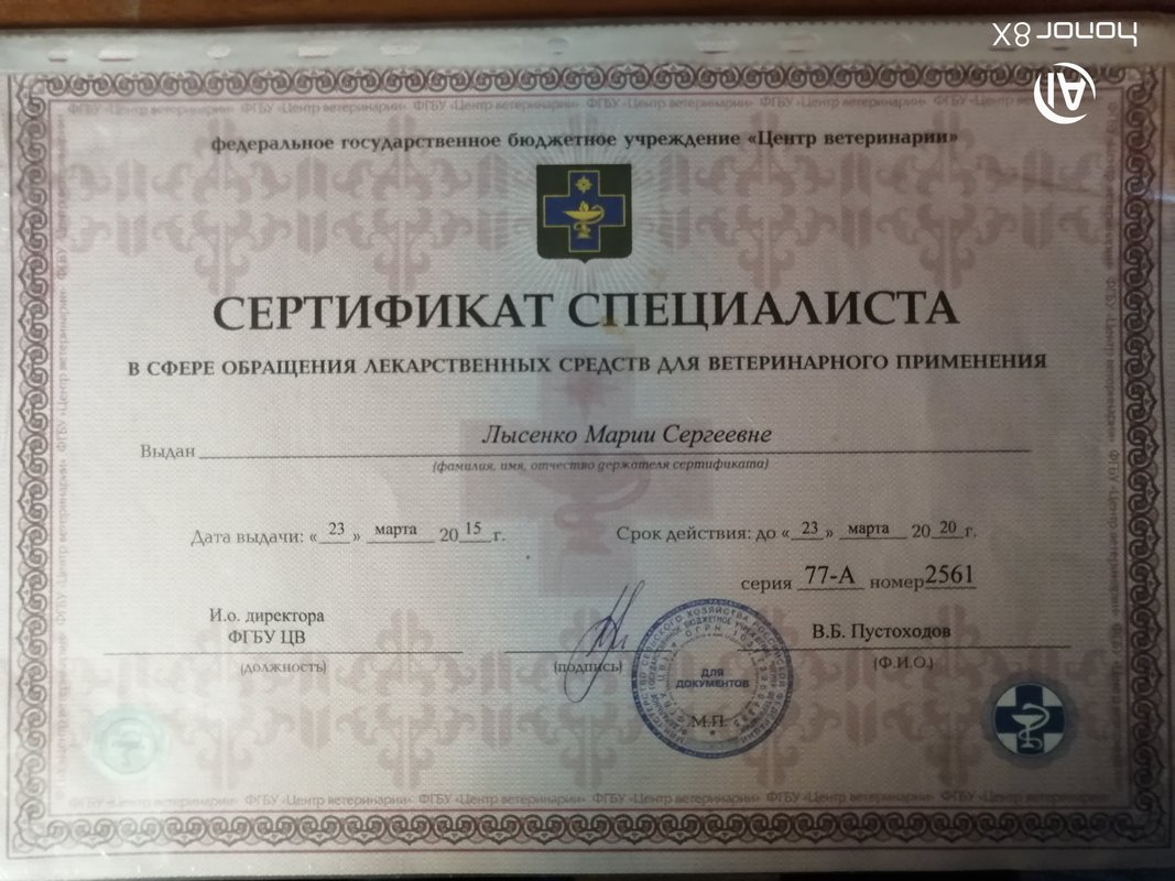 Документ или сертификат