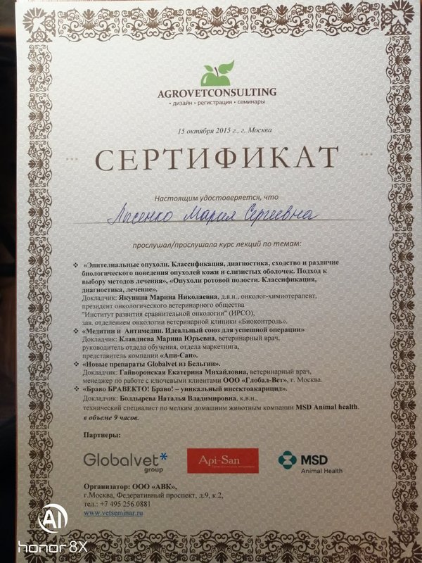 Документ или сертификат