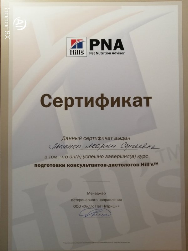 Документ или сертификат