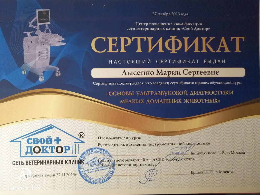 Документ или сертификат