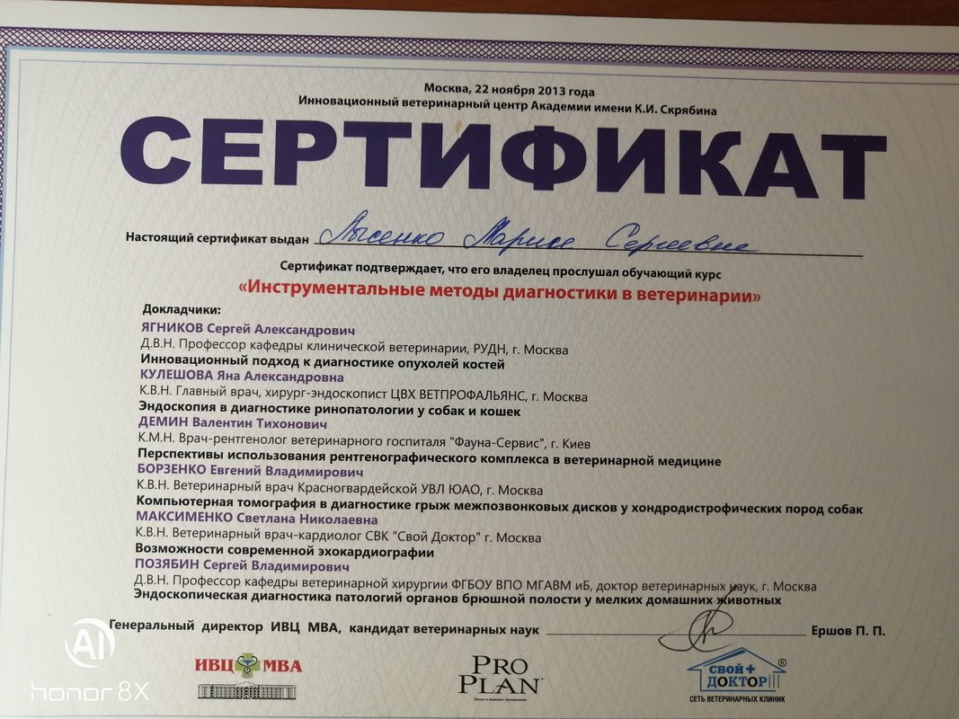 Документ или сертификат