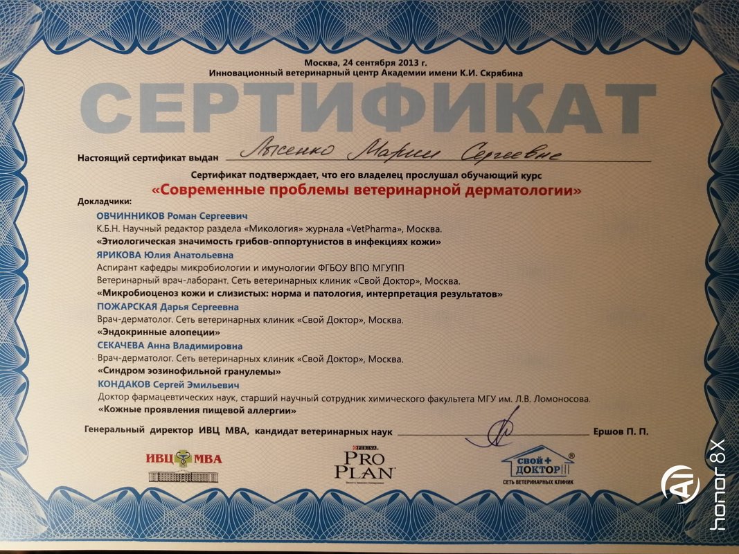 Документ или сертификат