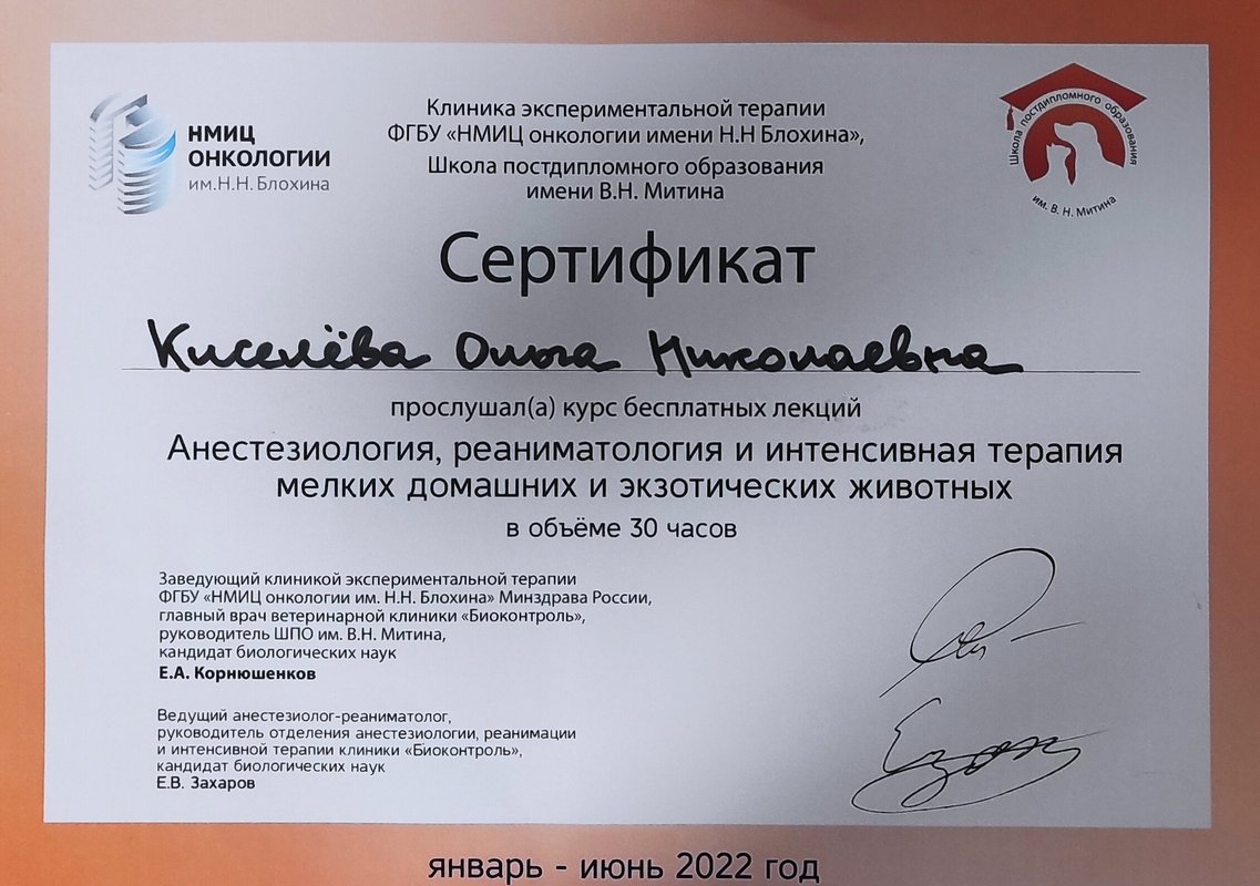 Документ или сертификат
