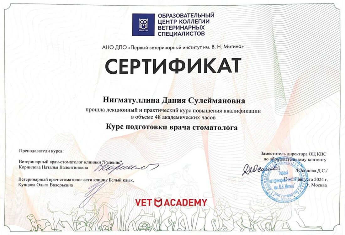 Документ или сертификат