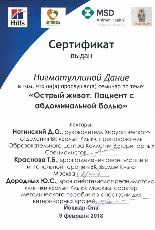 Документ или сертификат