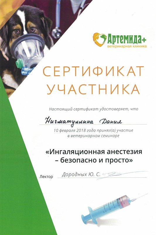Документ или сертификат