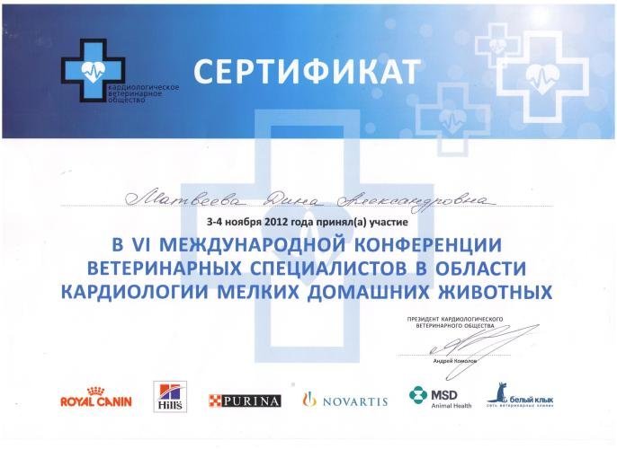 Документ или сертификат