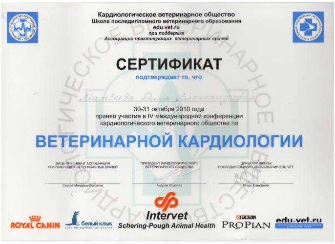 Документ или сертификат