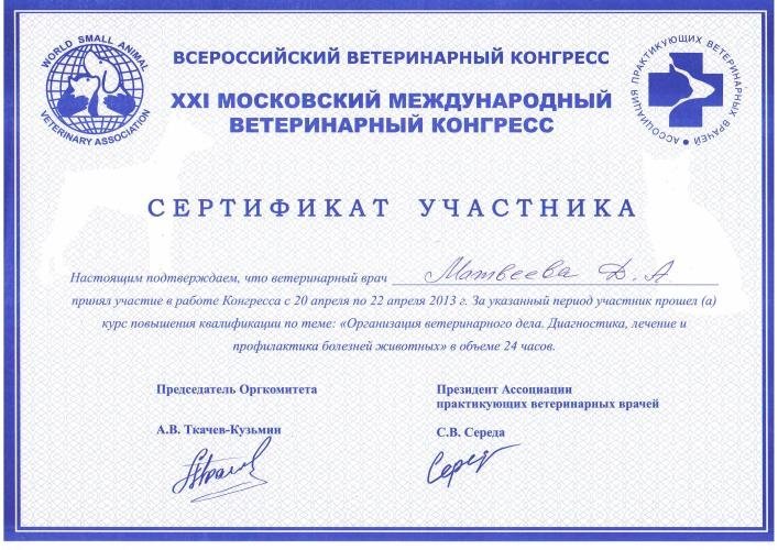 Документ или сертификат