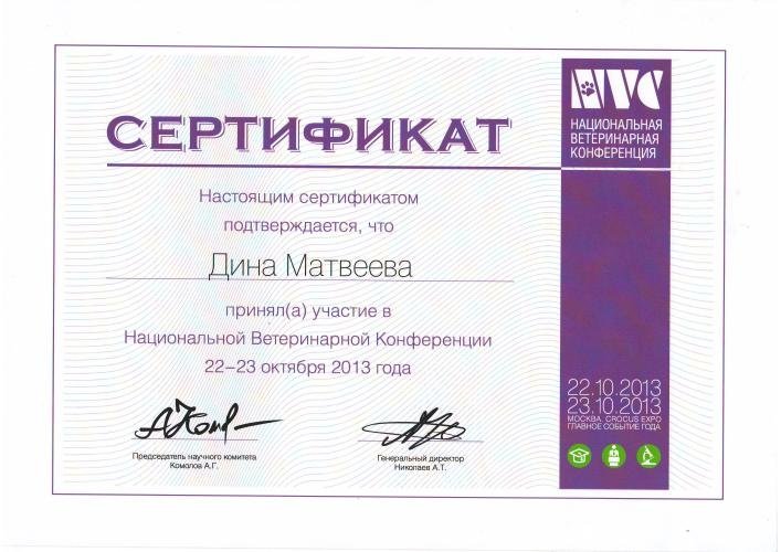 Документ или сертификат