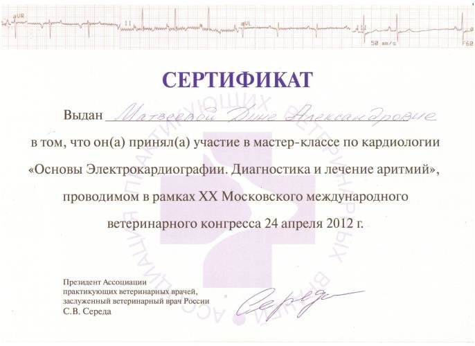 Документ или сертификат