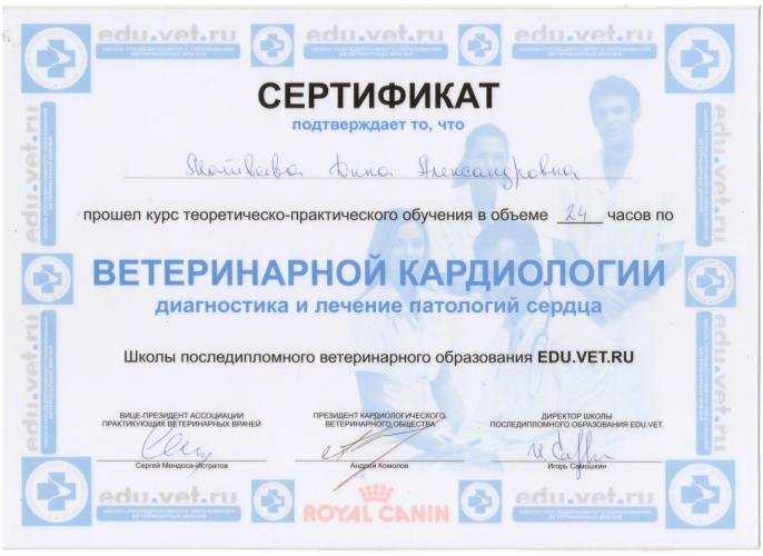 Документ или сертификат