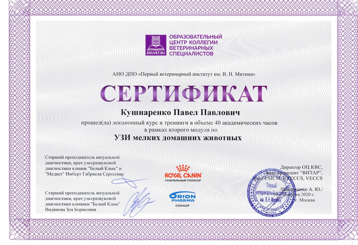 Документ или сертификат