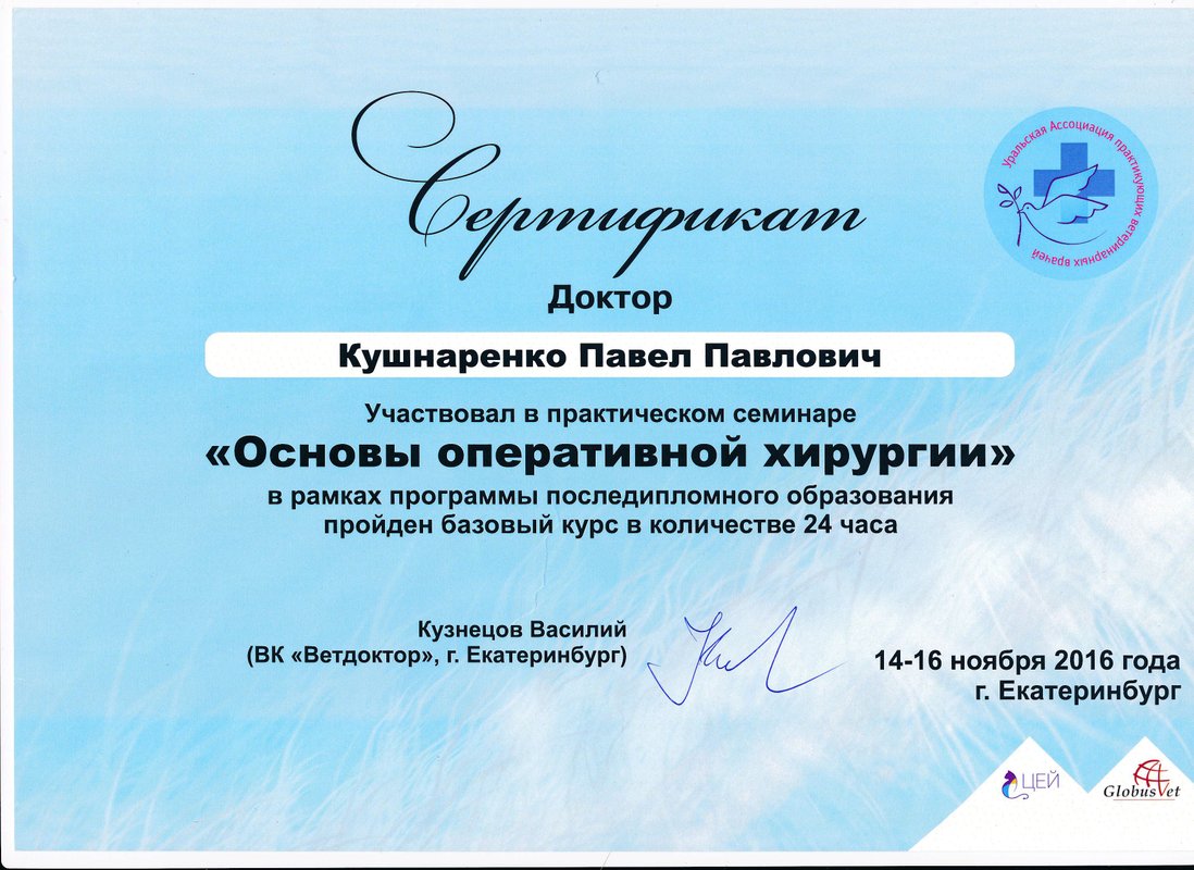 Документ или сертификат