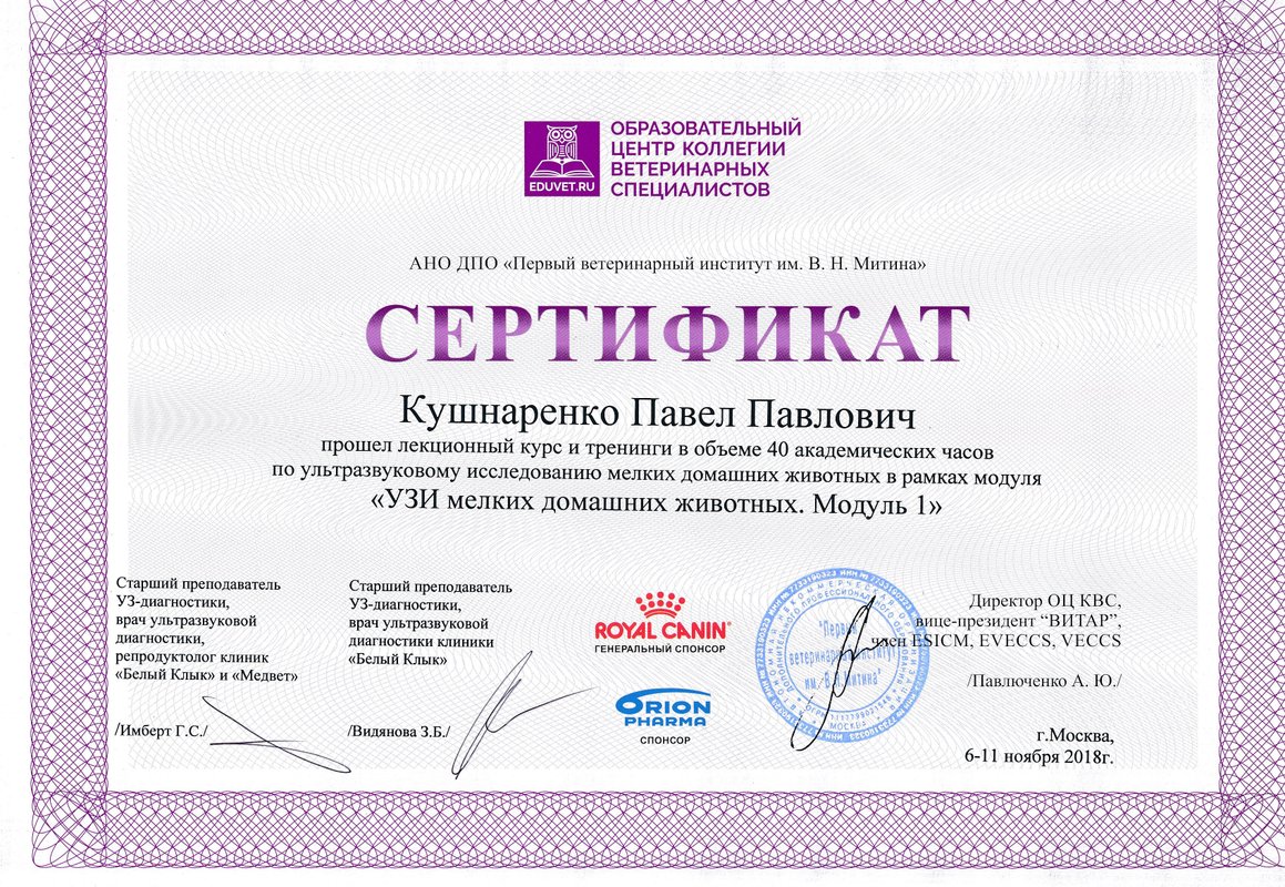Документ или сертификат