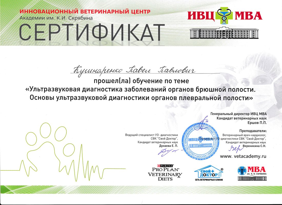 Документ или сертификат