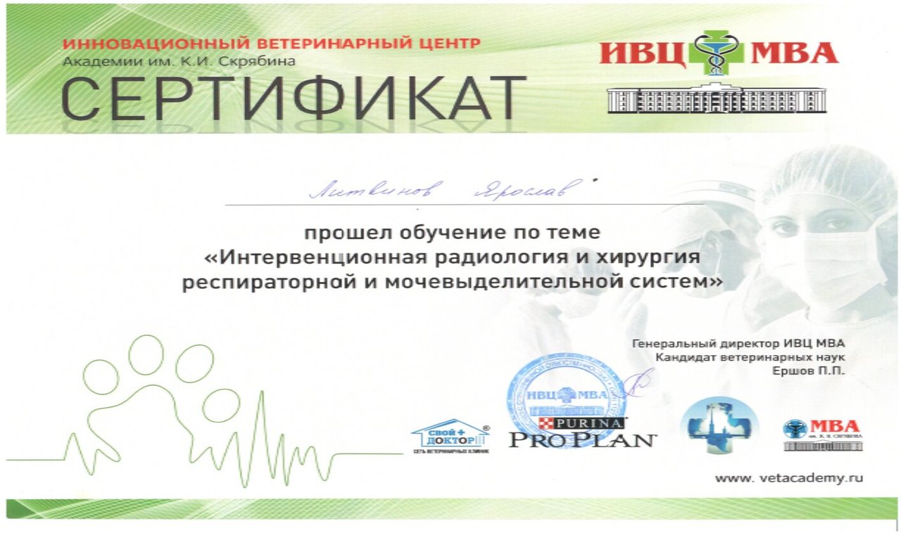Документ или сертификат