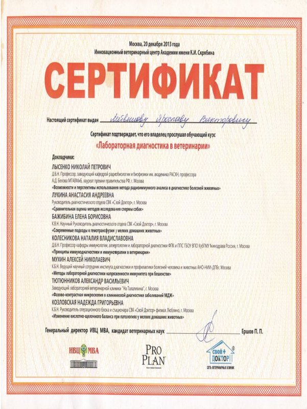 Документ или сертификат