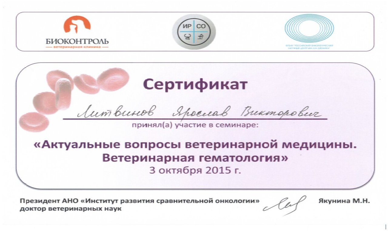 Документ или сертификат