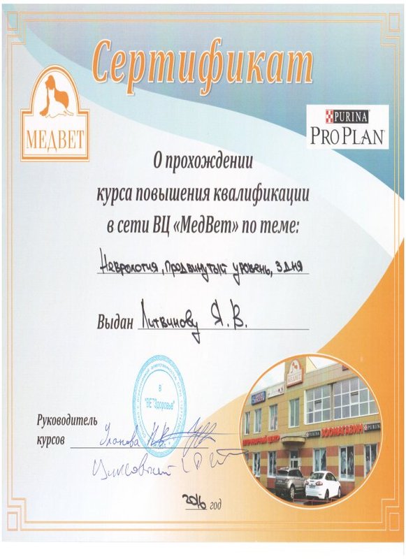 Документ или сертификат