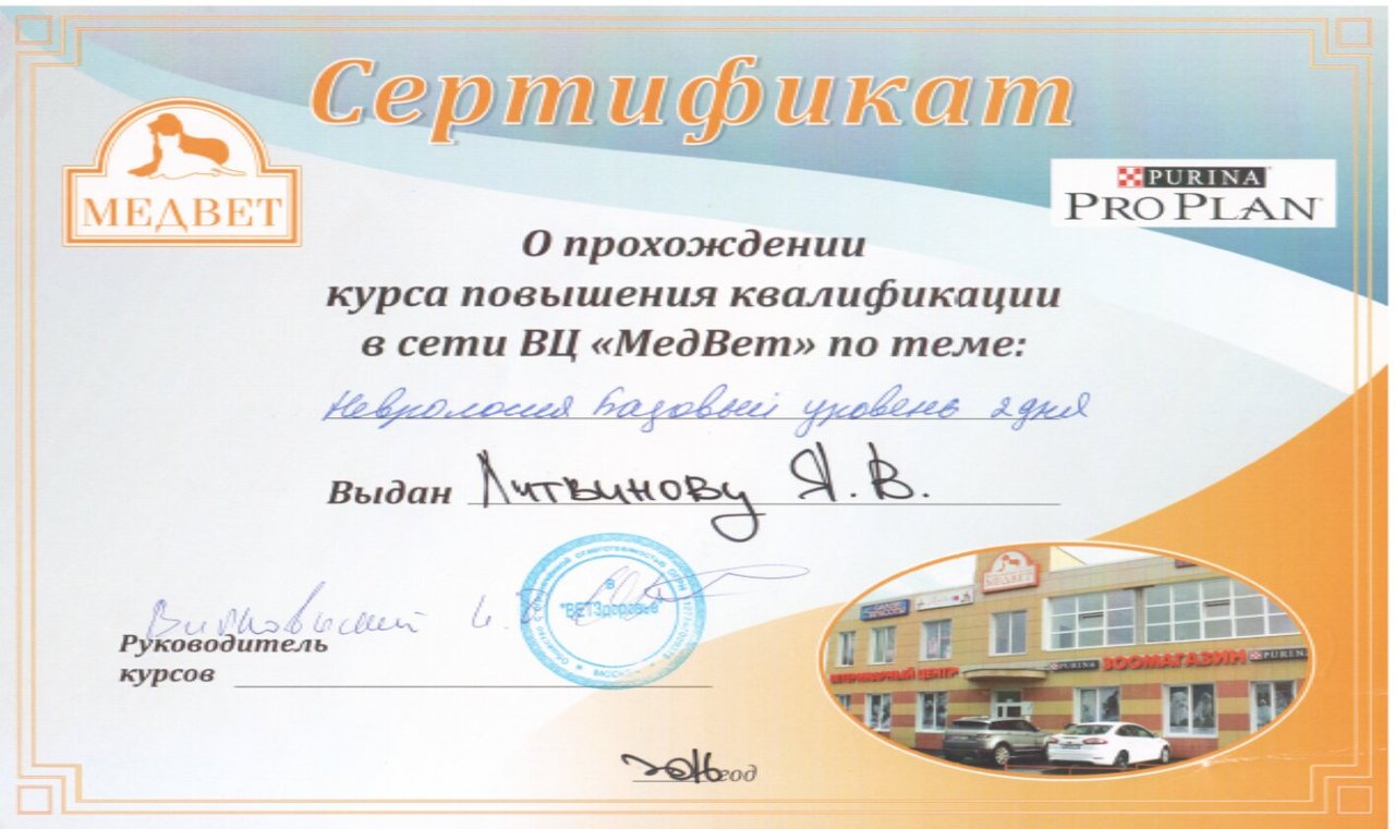 Документ или сертификат