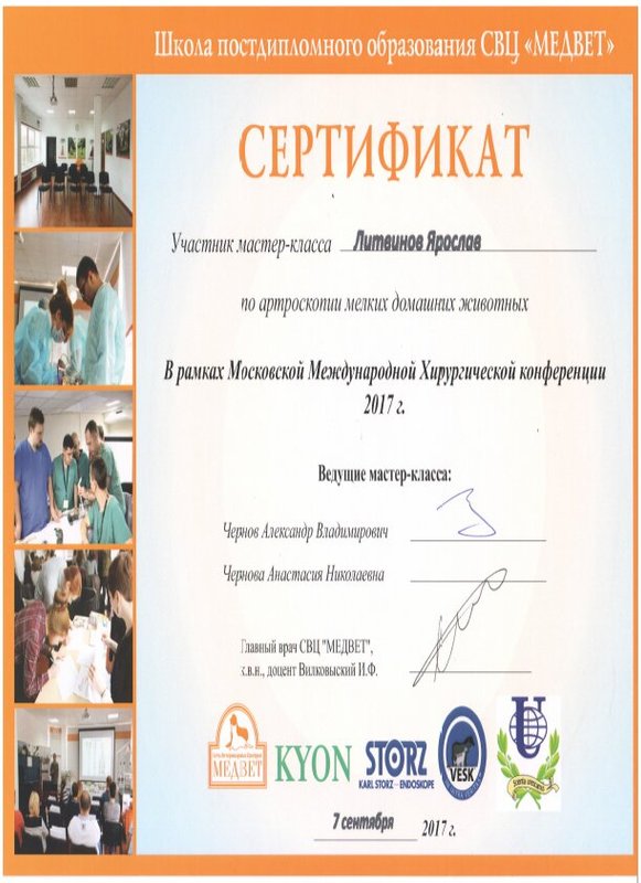 Документ или сертификат