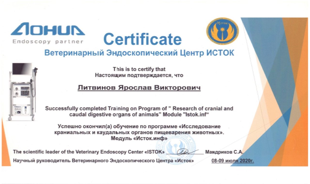 Документ или сертификат