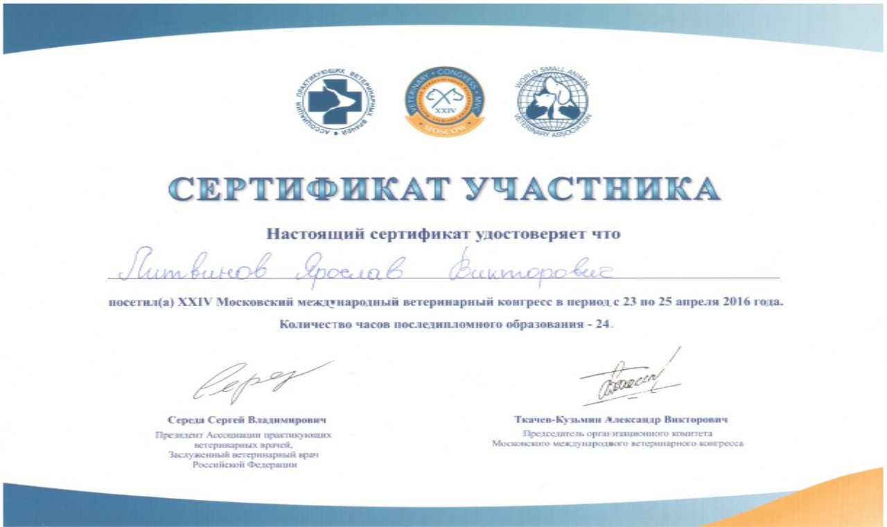Документ или сертификат