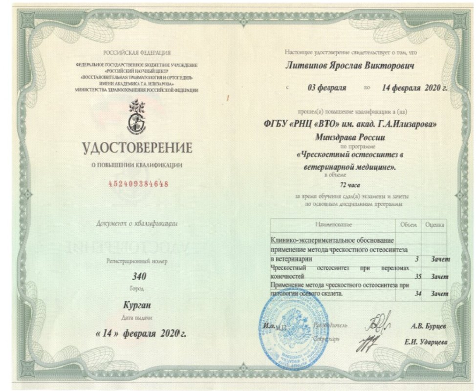 Документ или сертификат
