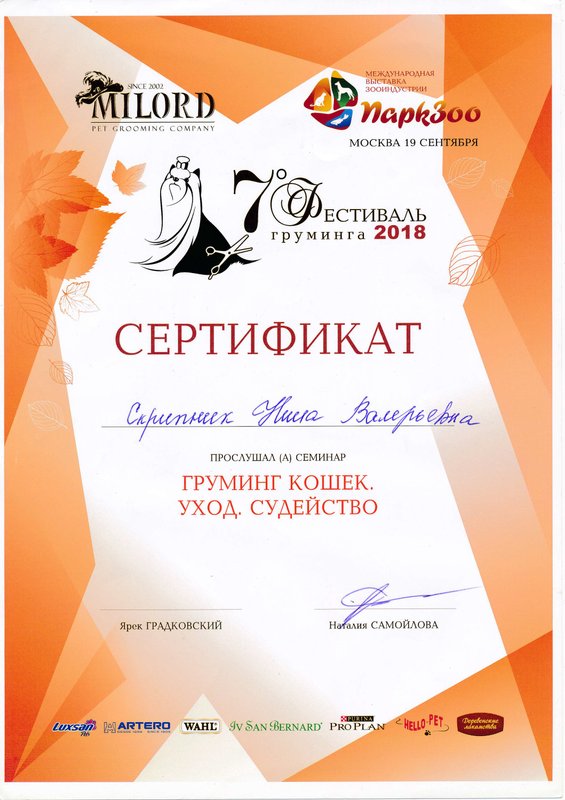 Документ или сертификат