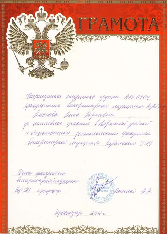 Документ или сертификат