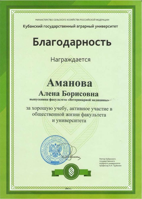 Документ или сертификат