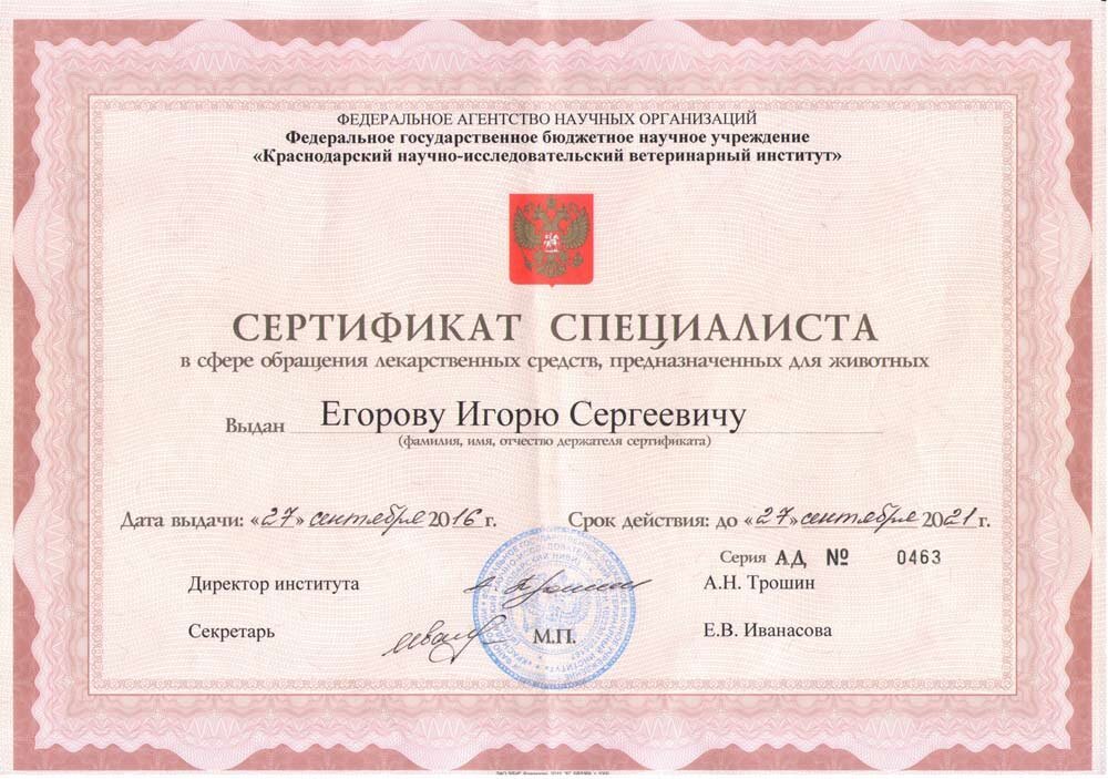 Документ или сертификат